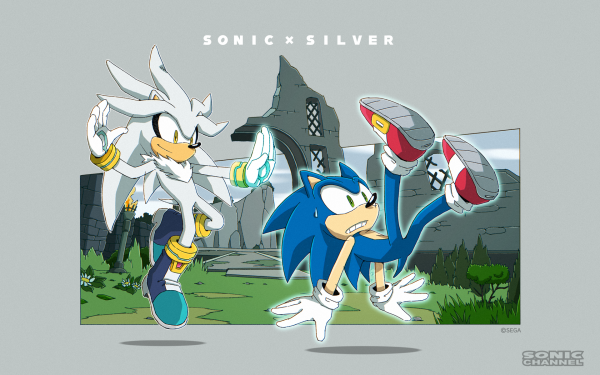 sonisch,Sonic de egel,zilver,Sonic Silver,PC gaming,Video Game Art