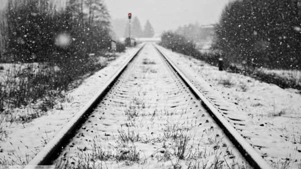 svartvit,snö,vinter-,fordon,järnväg,transport