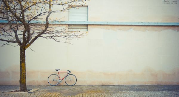 lumière du soleil,vélo,hiver,ciel,mur,jaune