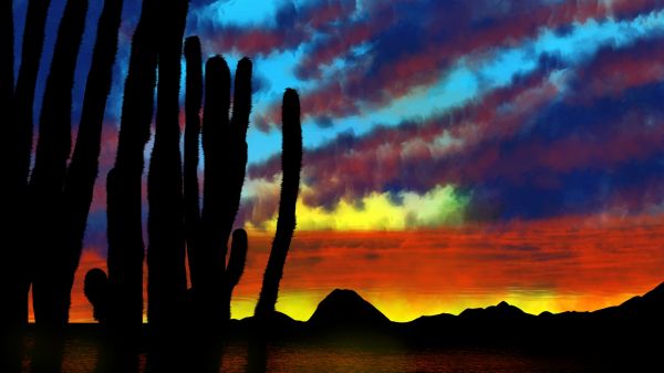 Pintura digital,arte digital,cactus,naturaleza,horizonte