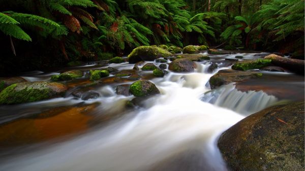 пейзаж, гора, водопад, вода, рок, природа