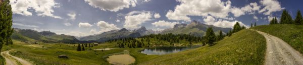 taman,schweiz,Lihat,wasser,schwimmen,luar ruangan