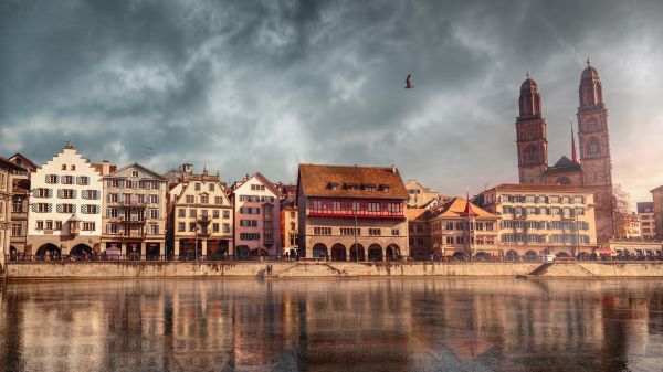 Menschen,Vögel,Stadt,Straße,Stadtbild,die Architektur