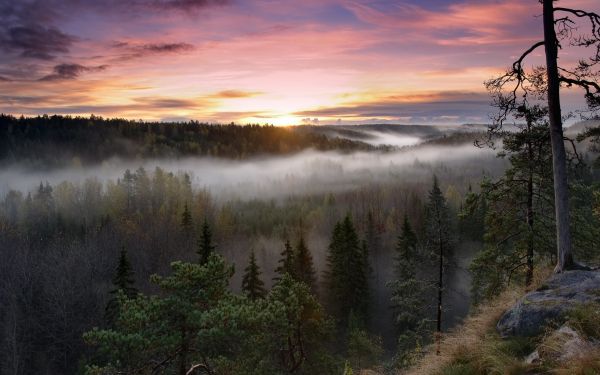 2560x1600 px,svítání,Finsko,mlha,lesy,HDR