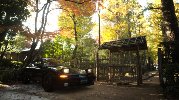 Toyota,Toyota Supra,voiture,la nature,Japon,forêt