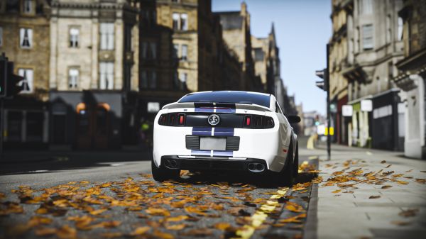 Ford Mustang GT,Shelby GT500,Ford Shelby GT500,Ford,Mustang Car,Forza