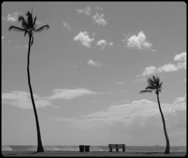 landschap,zonsondergang,zee,hemel,monochroom,fotografie