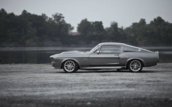 Mustang GT500,ฟอร์ด,ฟอร์ดเชลบี GT500,รถ,ขาวดำ