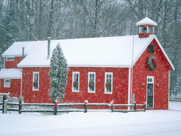 venster,gebouw,sneeuw,huis,rood,winter