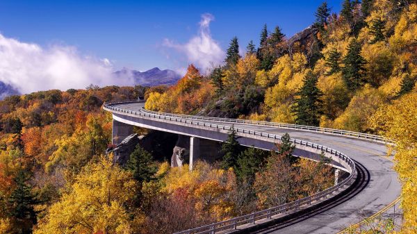 nature,landscape,bridge,trees,sky,clouds