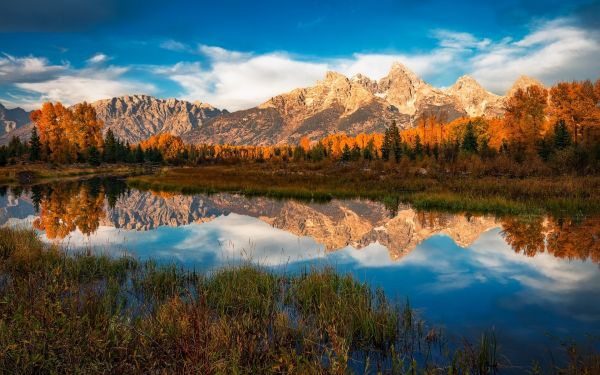 paysage,Coloré,forêt,tomber,Lac,eau