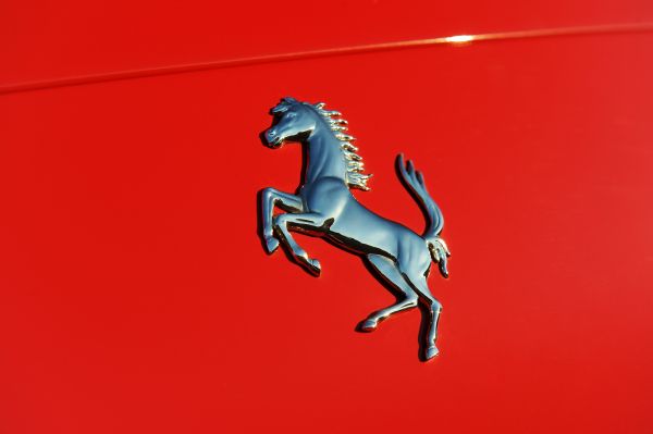 illustrazione,rosso,2013,netcarshow,netcar,Drago