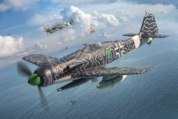 第二次世界大战, fw 190, Focke Wulf, Focke Wulf Fw 190, 飞机, 战争