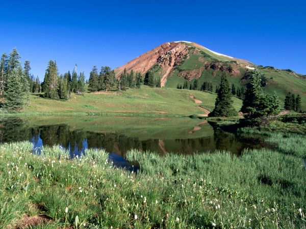 des arbres,paysage,Montagnes,colline,Lac,eau