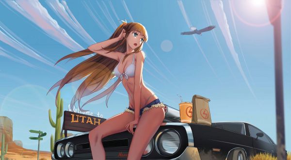 long hair,brunette,illustration,anime,anime girls,car