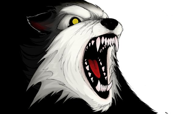 tekening, illustratie, monochroom, wolf, anime, spotprent