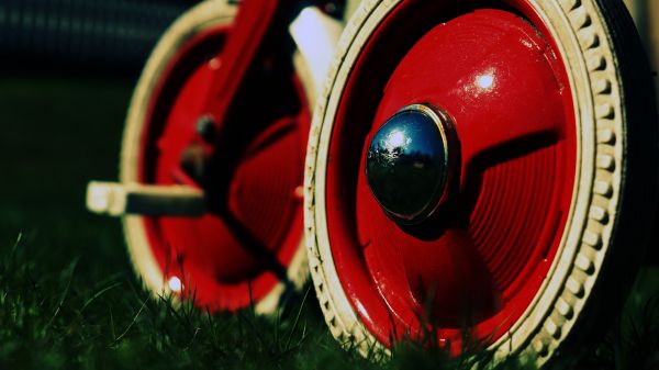 toys,children,red,photography,green,bicycle