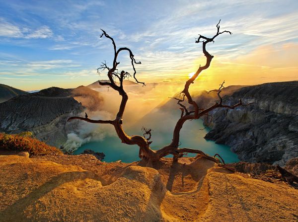 ağaç kabuğu,Lake Caddo USA,göl,Ağaçlar,kum,Güneş ışığı