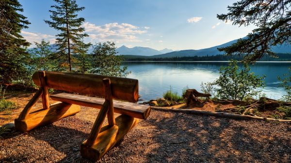 lake,landscape,park,Jasper National Park,Canada,bench