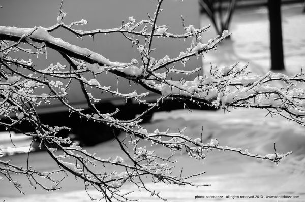 blanc,Monochrome,ville,rue,la nature,voiture