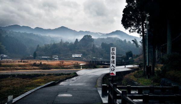 自然,木,日本,道路,木材,ミスト