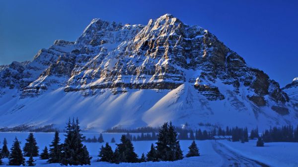 panorama, montanhas, natureza, neve, inverno, Árvores