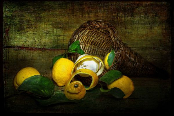 ART,fruit,life,2048x1365 px,lemons,painting