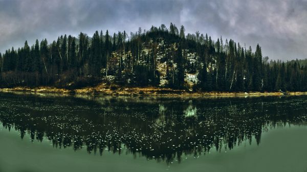 風景,HDR,自然,森林,秋,水