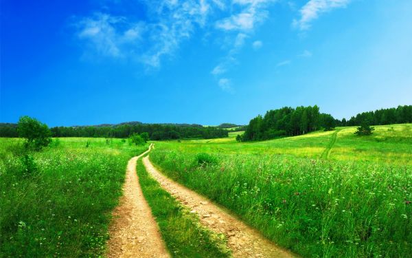 Sonnenlicht,Himmel,Landschaft,Hügel,Gras,Feld