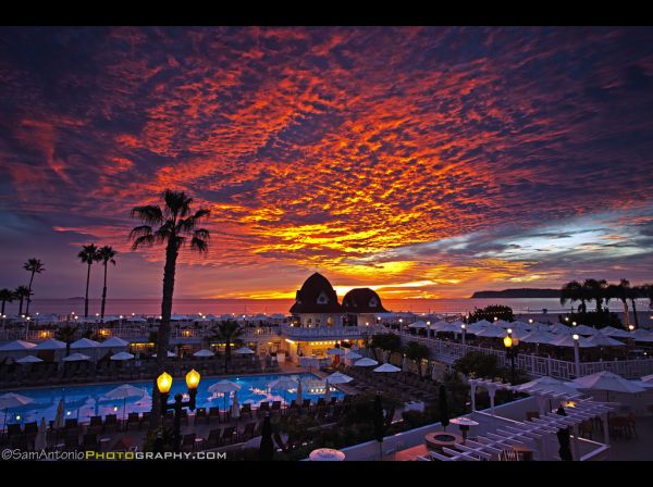 California,Christmas,city,travel,sunset,vacation