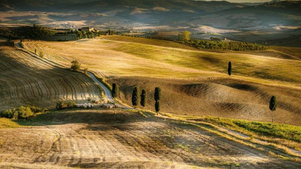 ฟิลด์,อิตาลี,ชาวทัสกัน,2560x1440 px,pienza