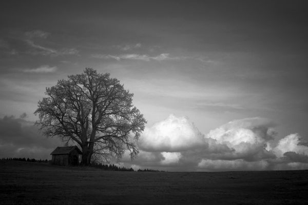 slnečnému žiareniu,krajina,Monochrome,príroda,neba,fotografovanie