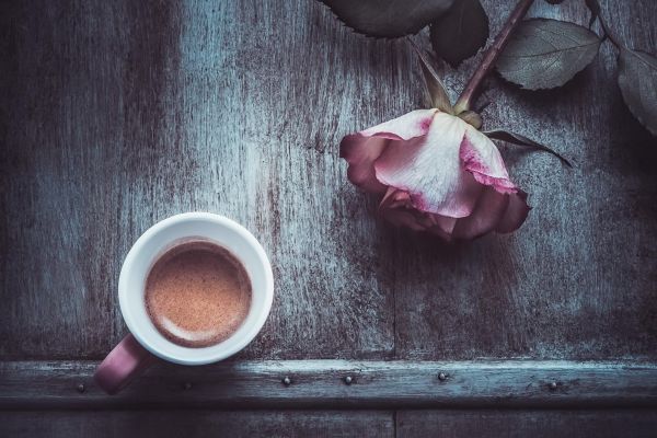 flor,Flores,café,Rosa,vaso,rosado