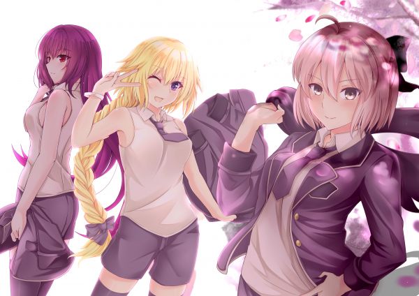 illustration,anime,cartoon,Lancer Fate Grand Order,pink,Ruler Fate Grand Order