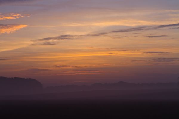 Árvores,vermelho,Câmera,manhã,azul,céu