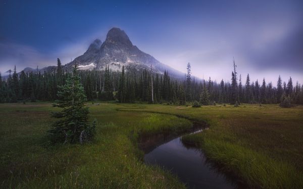 des arbres, paysage, forêt, Montagnes, colline, Lac