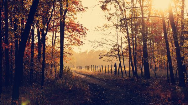 atmosfera,cer,plantă,ecoregiunii,People in nature,Natural landscape