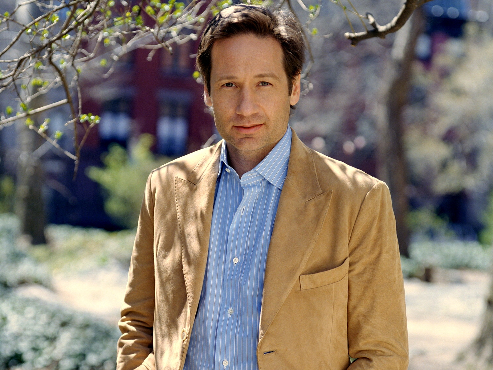 David Duchovny, Đàn ông, diễn viên, Brunet, Áo khoác, áo sơ mi