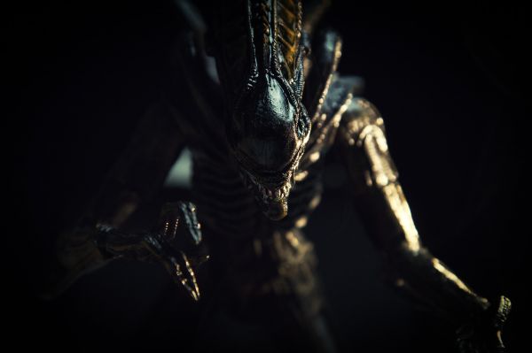 cizinci, Xenomorph, stvoření, sci-fi, hrůza