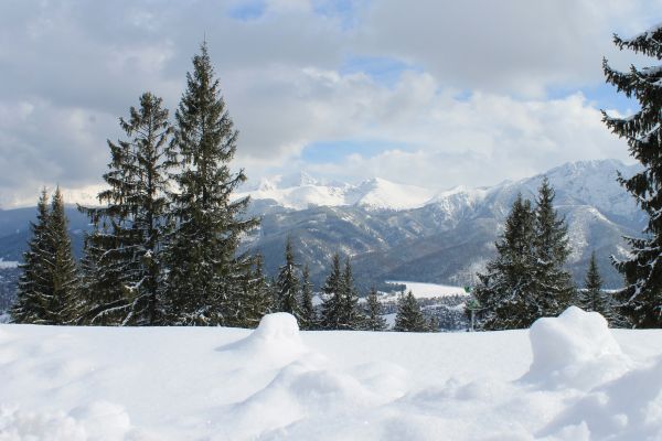 fjellene,Tatra-fjellene,snø,Karpatene