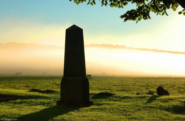 lumière du soleil,paysage,la nature,ciel,herbe,champ