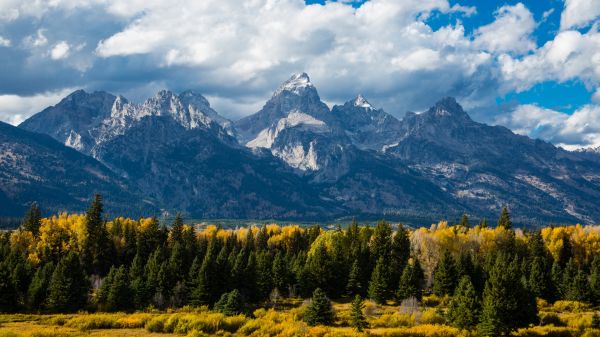 Grand Teton Nemzeti Park,USA,tájkép,természet,Utah,fák