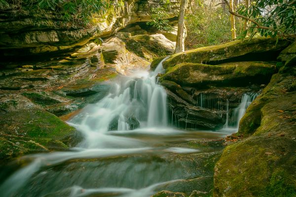 pemandangan, hutan, air terjun, air, batu, alam