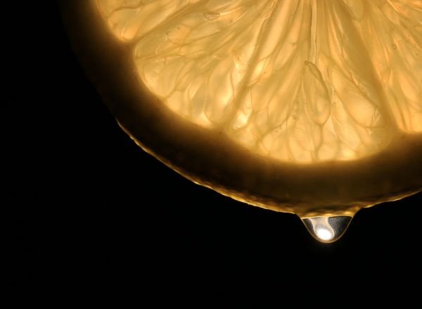 φως,μαύρος,μακροοικονομική,κίτρινος,closeup,blackbackground