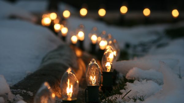 ampoule,lumières,neige,hiver,Profondeur de champ