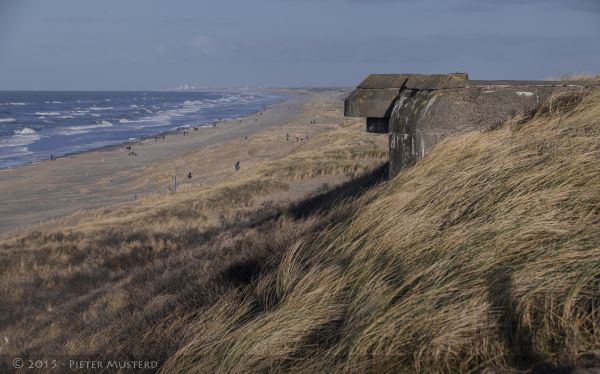 holland, strand, streng, Canon, Scheveningen, klitter