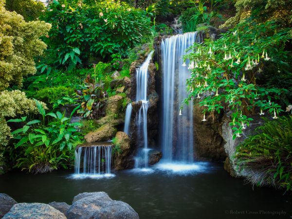 la nature,paysage,forêt,cascade,eau,mousse