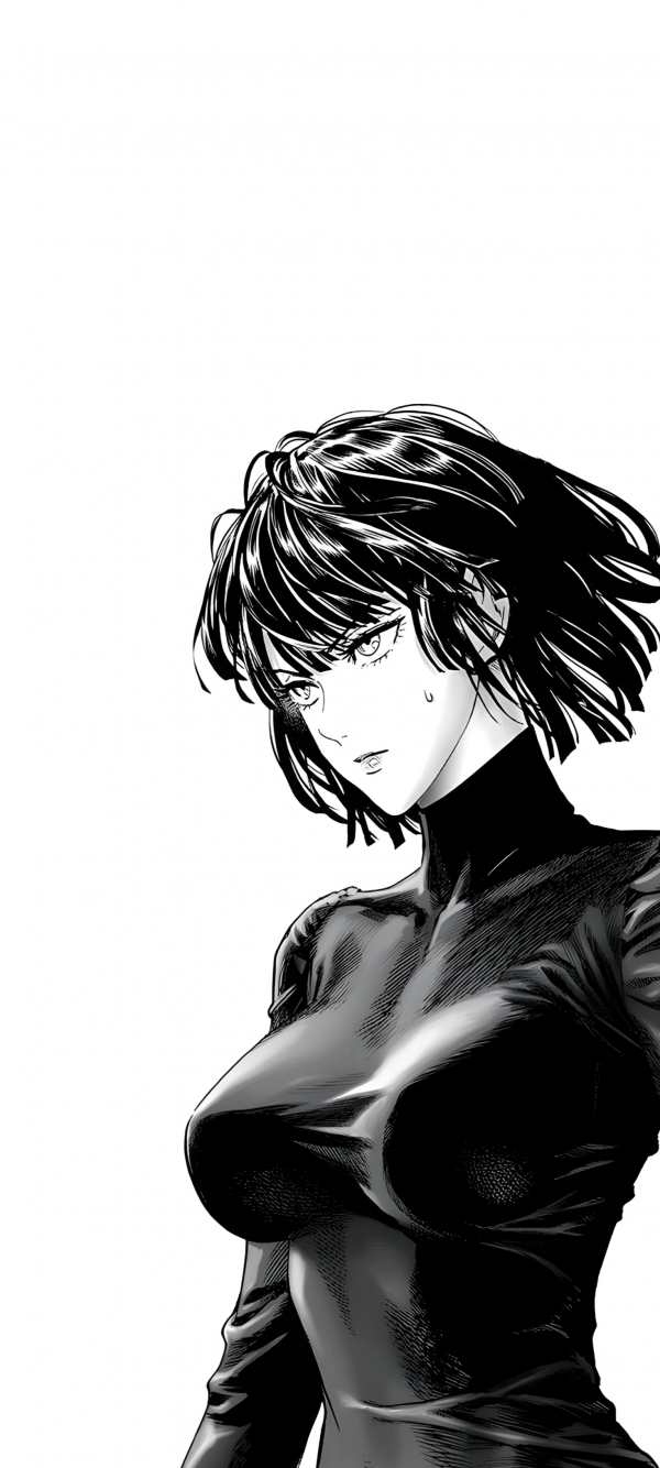 En Punch Man,Fubuki,manga