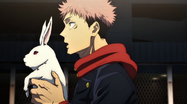 Jujutsu Kaisen,rabbits,bunny ears,red eyes,pink hair,open mouth