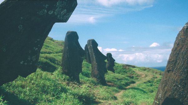 Chmura,niebo,Ekoregion,Natural landscape,drewno,średniogórze